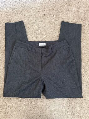 Tahari Women's Straight Leg Pants in Charcoal Gray